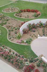 Rose Garden Aerial View