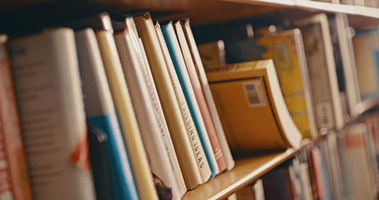 A shelf with textbooks of various sizes