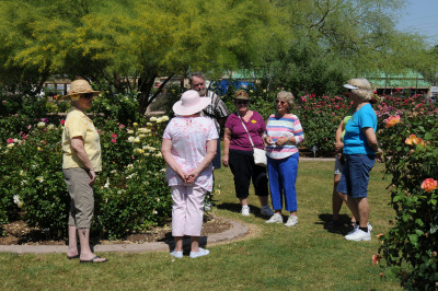 Visitors in the garden