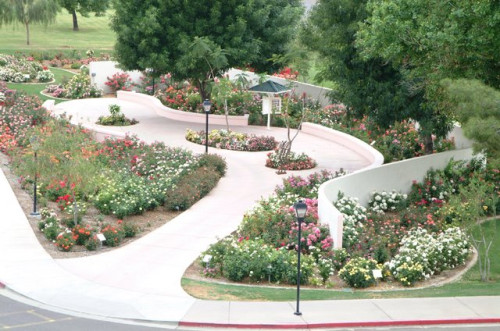 Aerial view of the garden