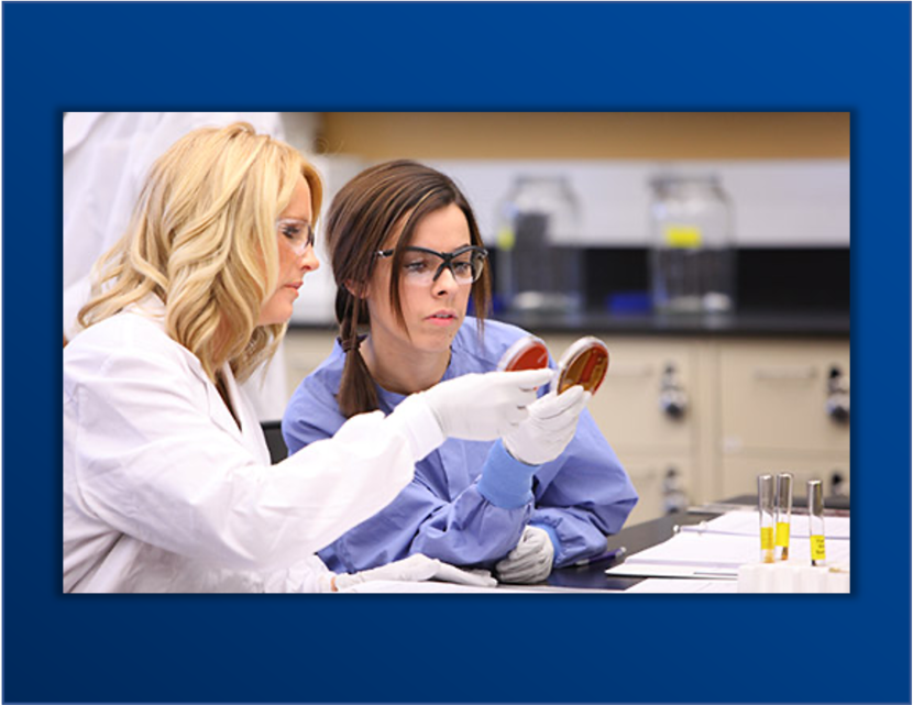 two people doing research in a lab