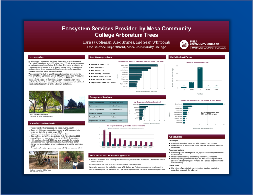 research poster