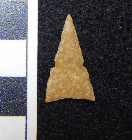 A projectile point on a black background with a measurement reference