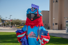 Thor the Thunderbird Graduate